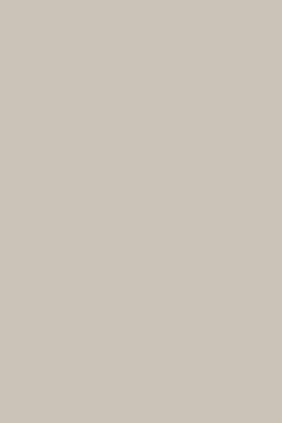 KASHMIR 5981
